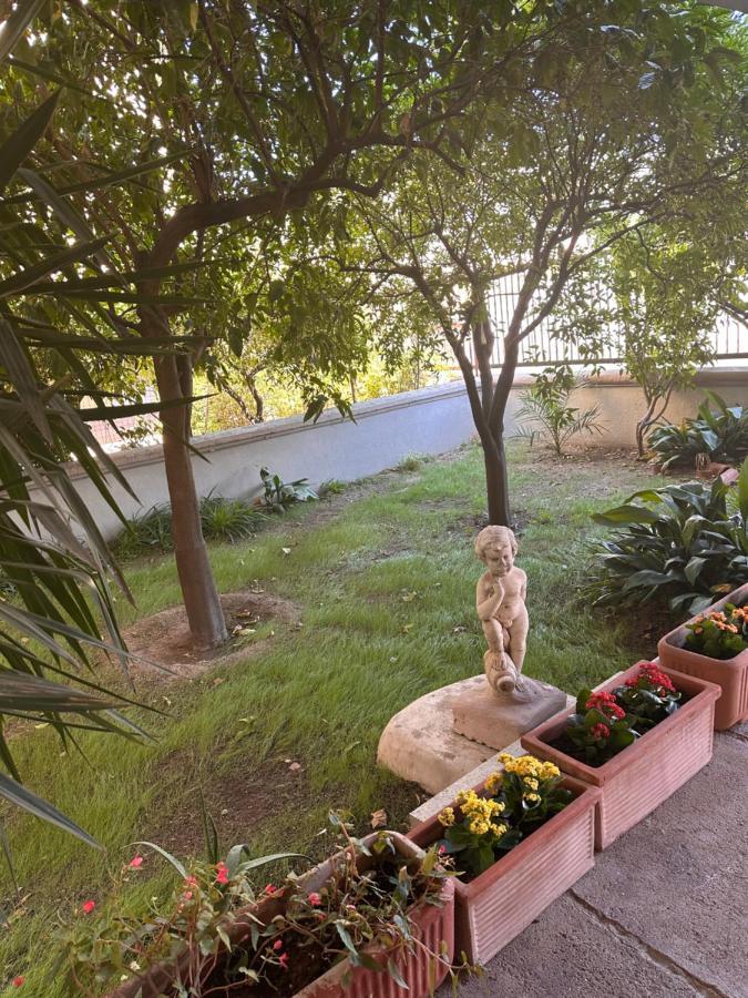 Ajoaolbia B&B 外观 照片