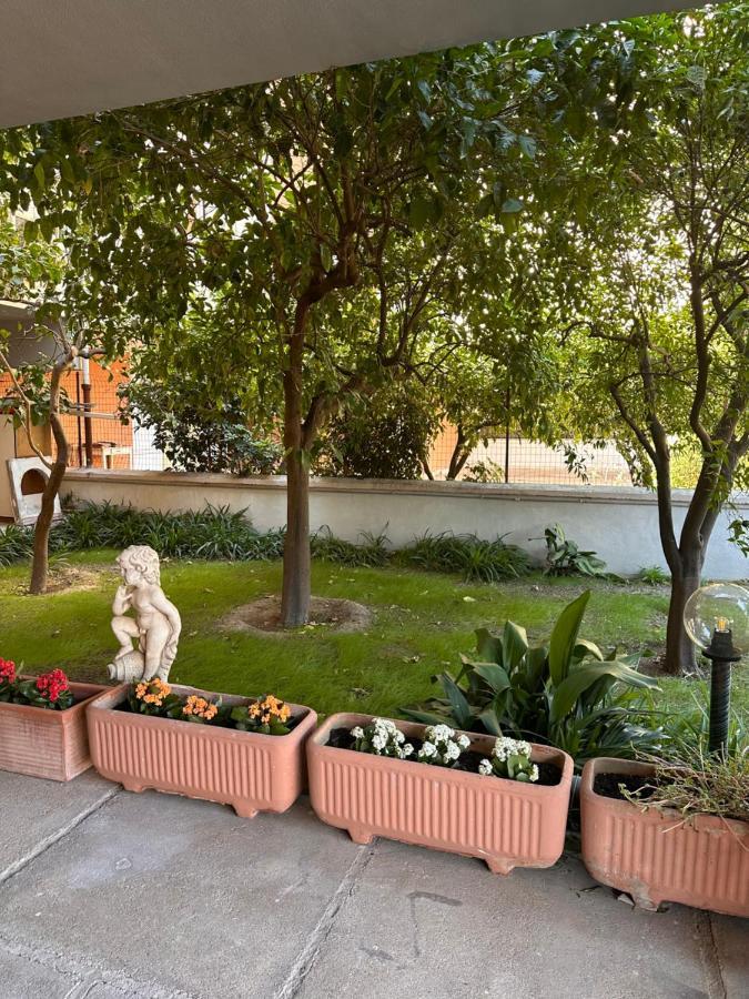 Ajoaolbia B&B 外观 照片