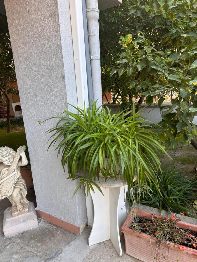 Ajoaolbia B&B 外观 照片